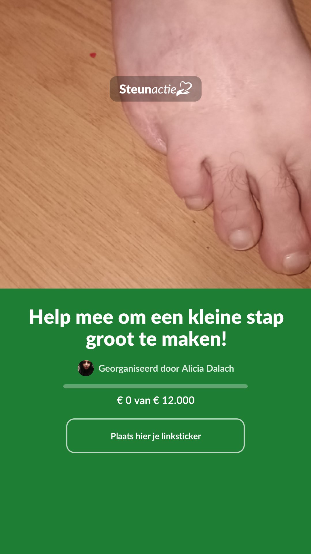 Voorbeeld van de afbeelding