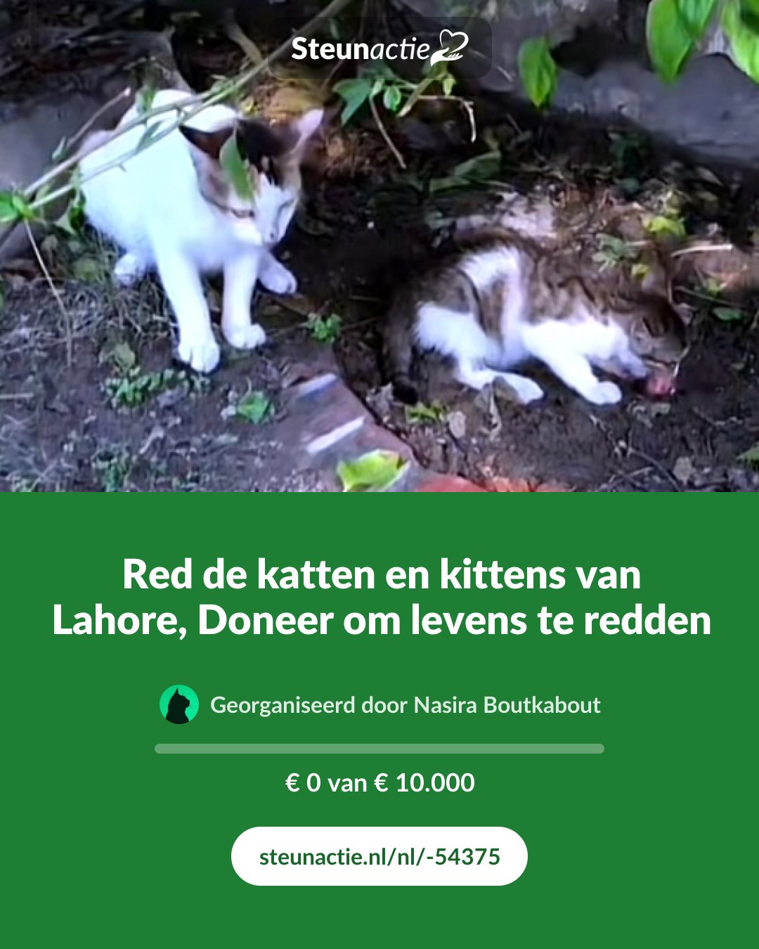 Voorbeeld van de afbeelding