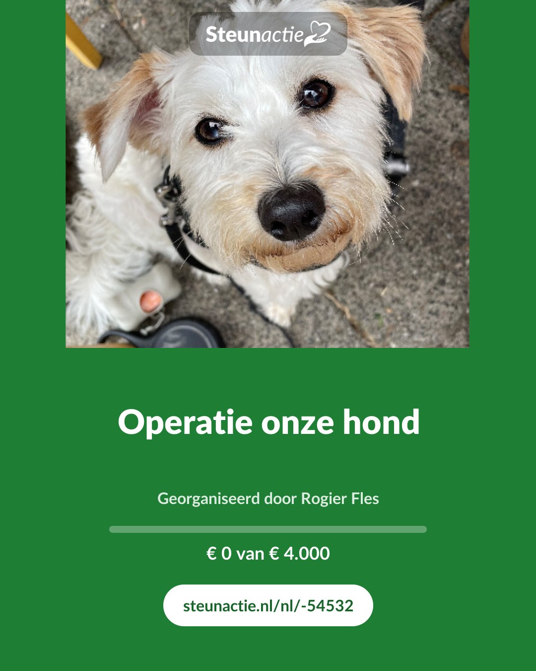 Voorbeeld van de afbeelding