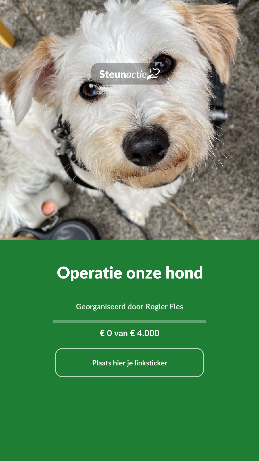 Voorbeeld van de afbeelding
