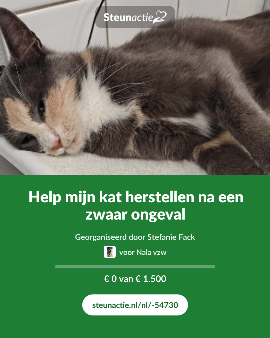 Voorbeeld van de afbeelding