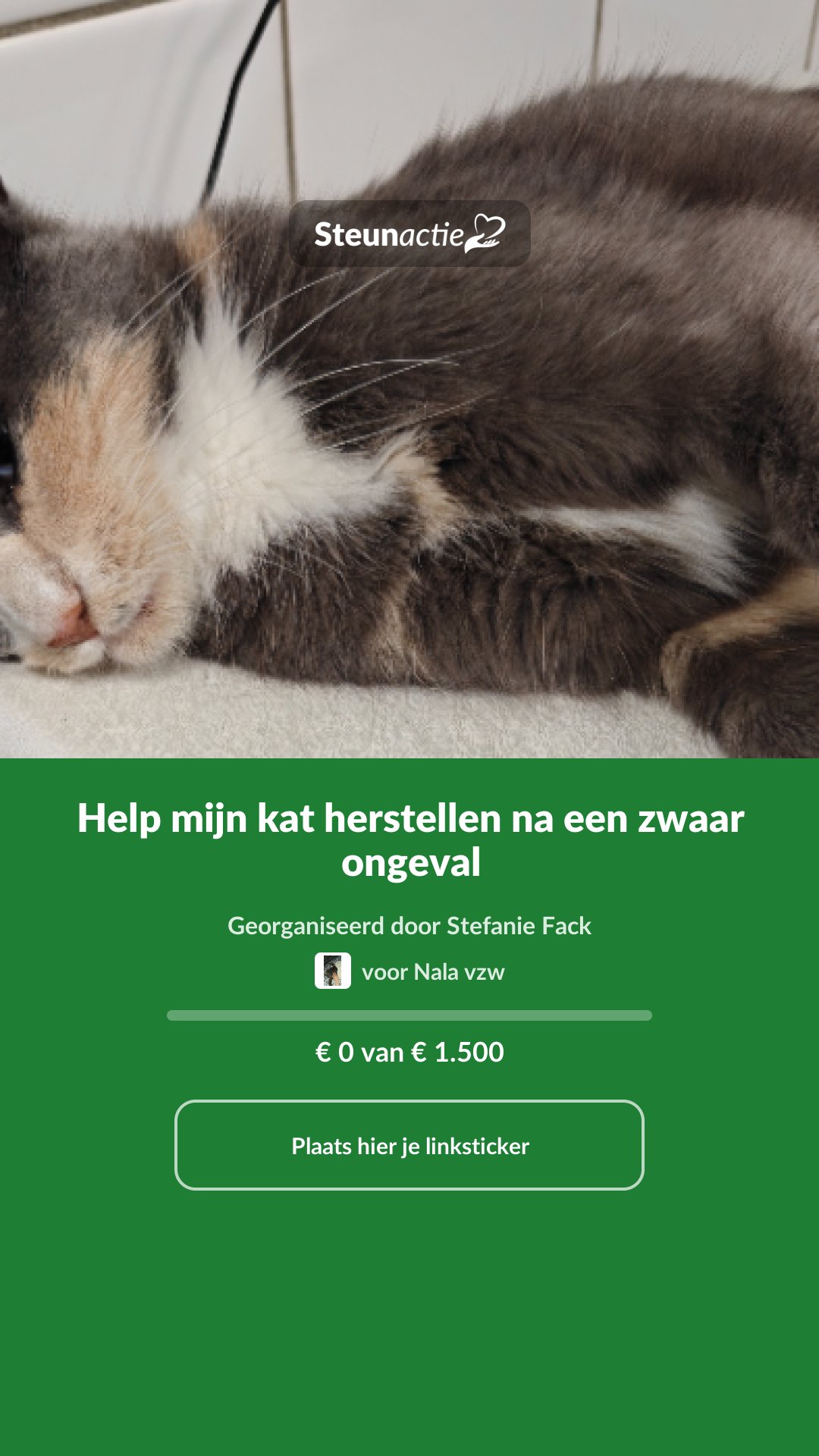 Voorbeeld van de afbeelding