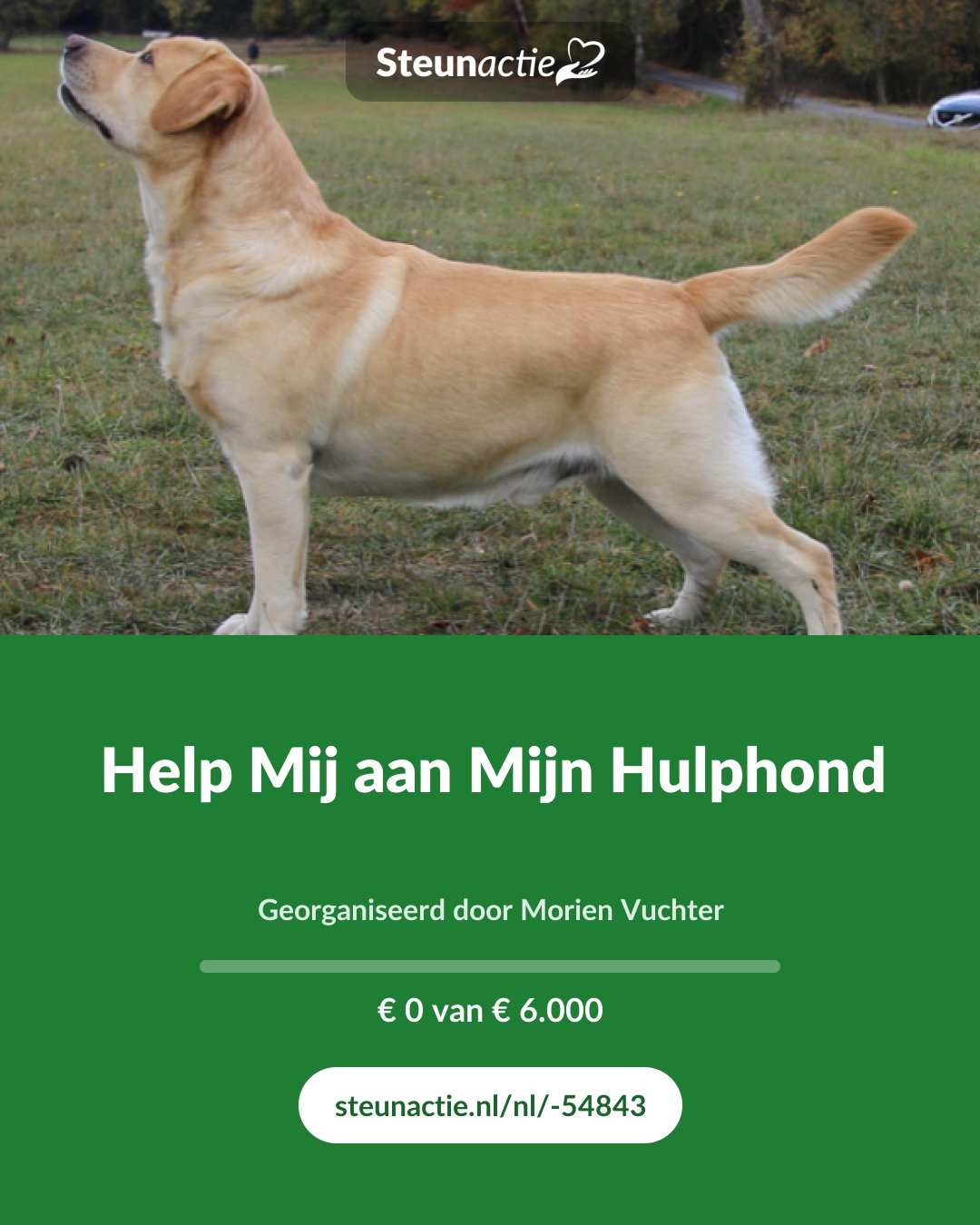 Voorbeeld van de afbeelding