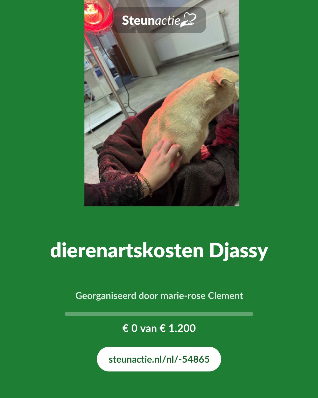 Voorbeeld van de afbeelding