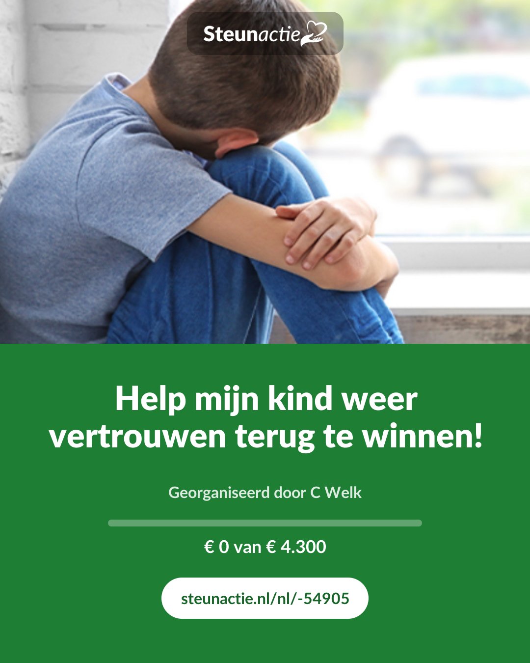 Voorbeeld van de afbeelding