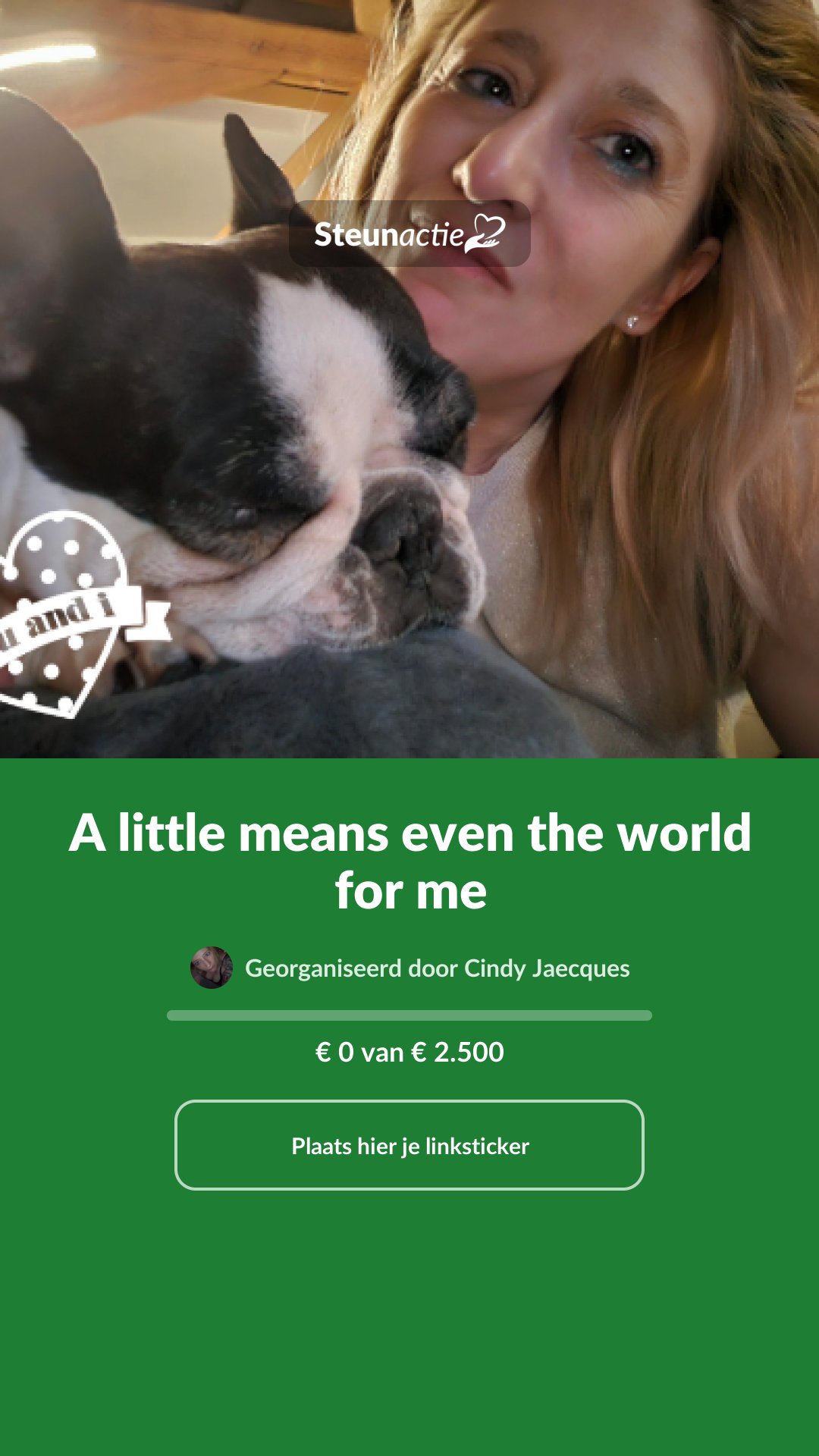Voorbeeld van de afbeelding