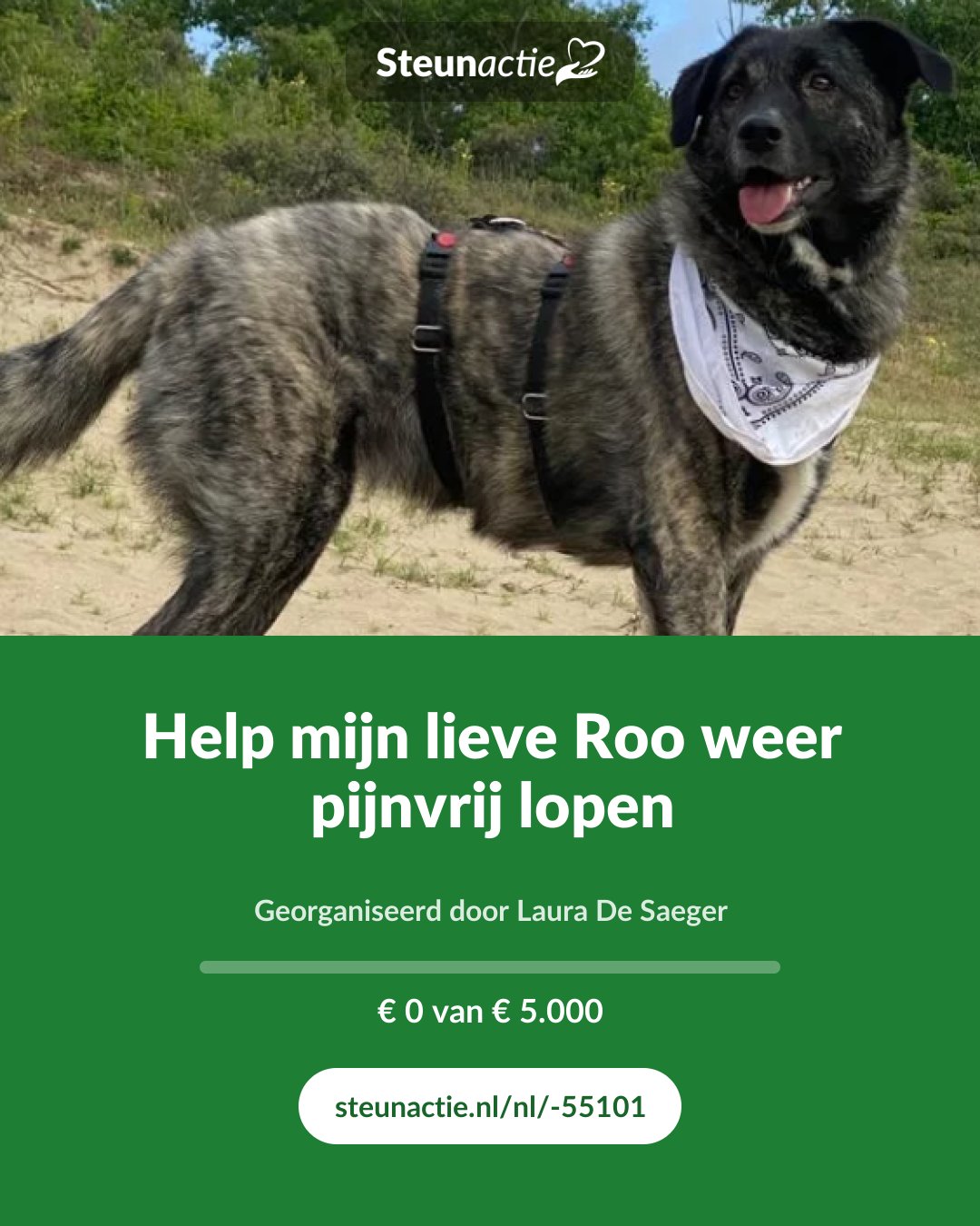 Voorbeeld van de afbeelding