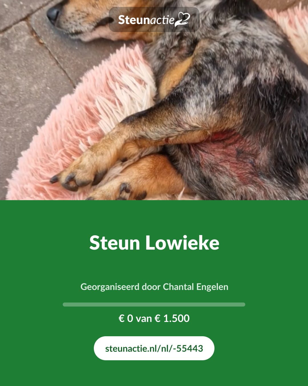 Voorbeeld van de afbeelding