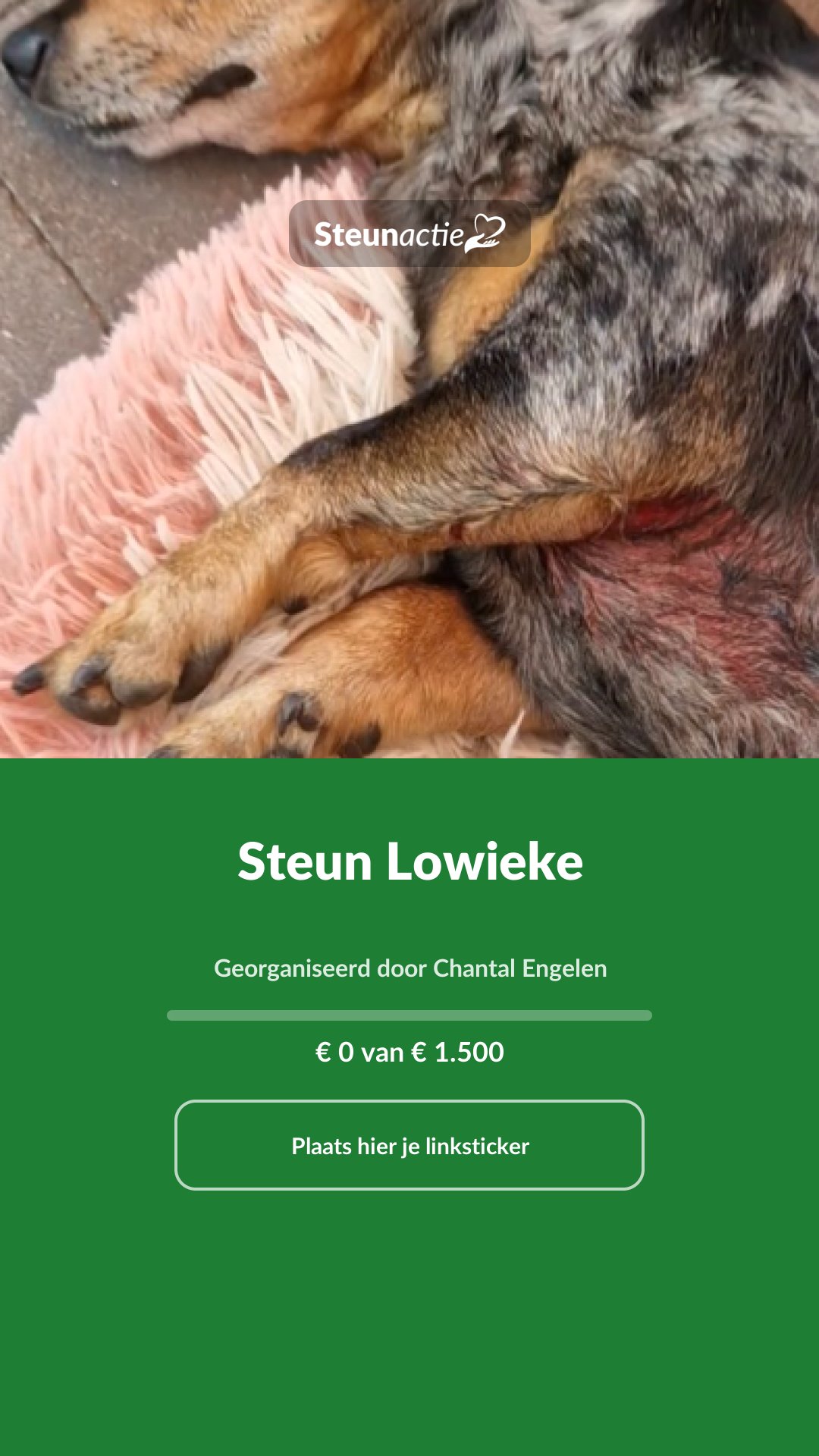 Voorbeeld van de afbeelding