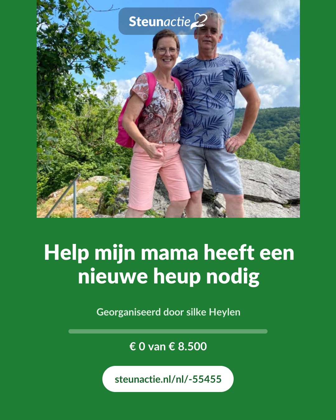Voorbeeld van de afbeelding