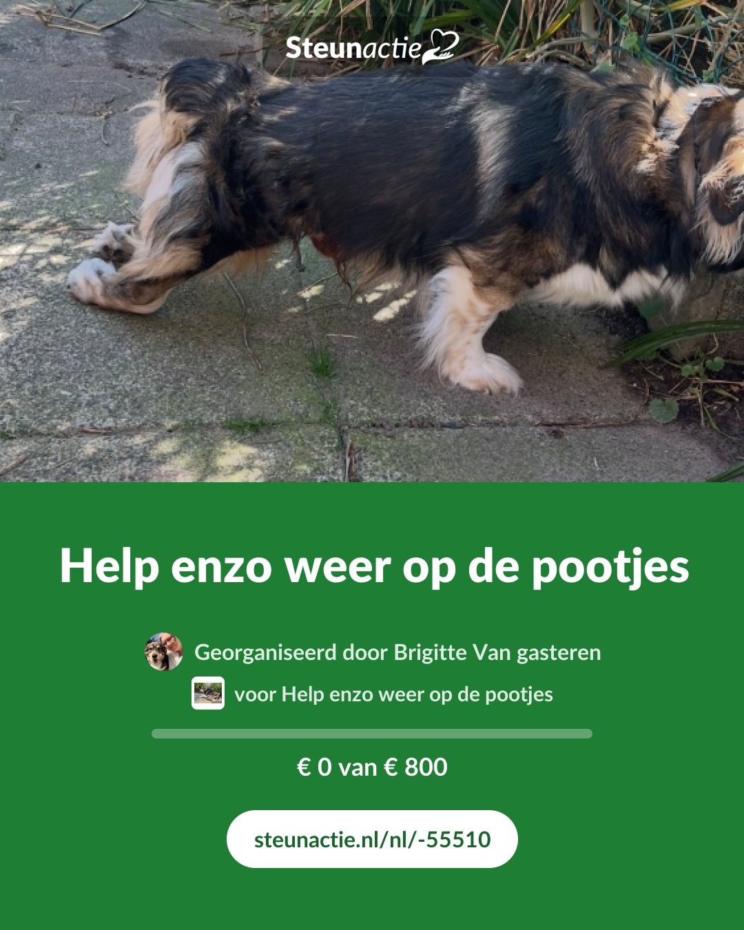 Voorbeeld van de afbeelding