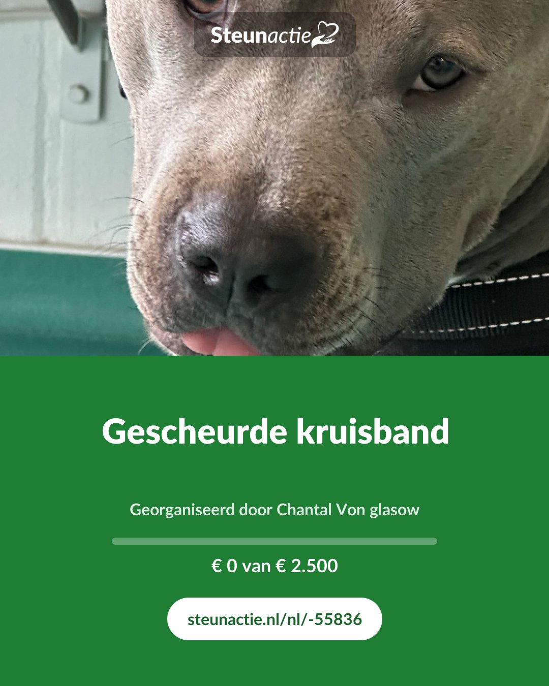 Voorbeeld van de afbeelding
