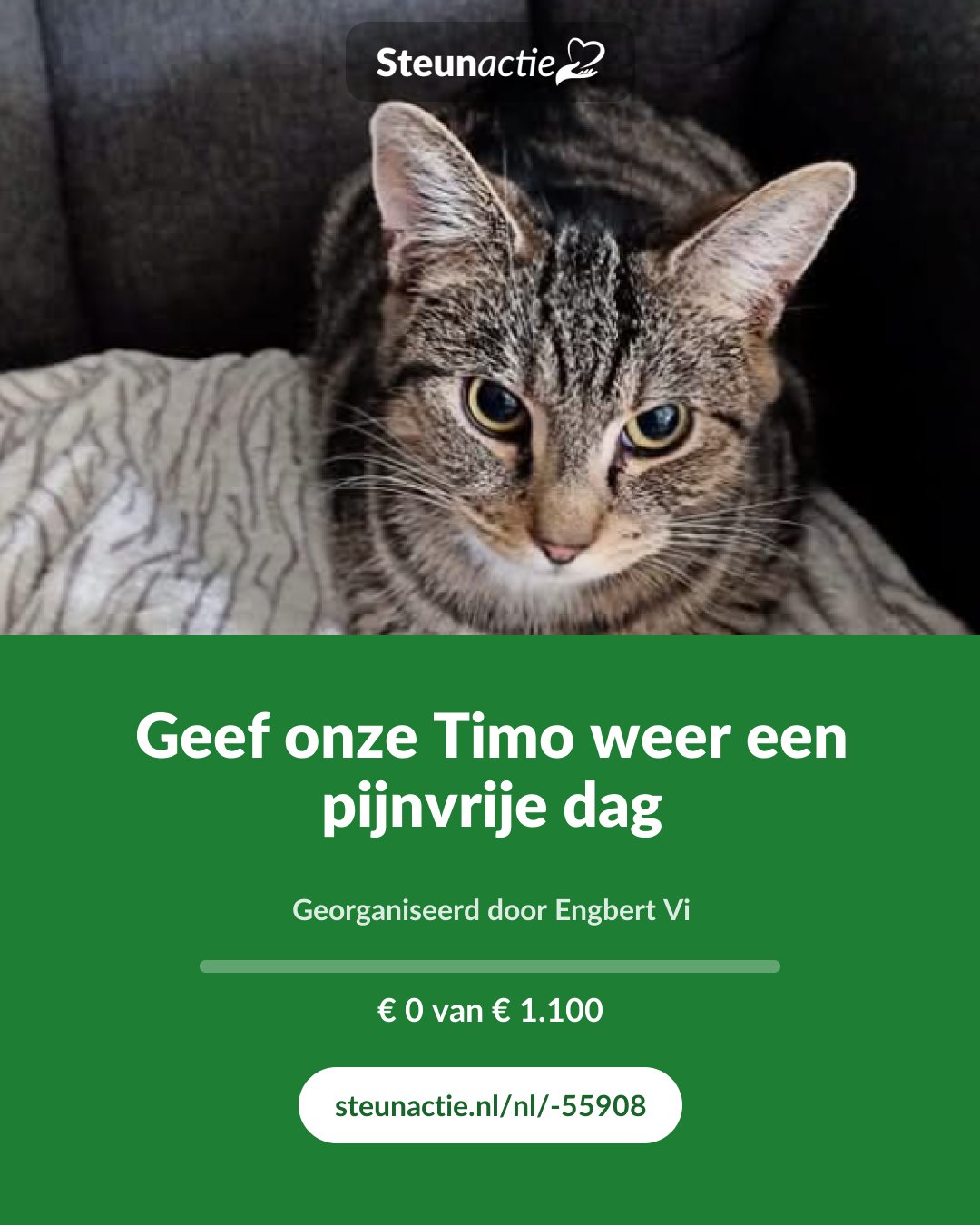 Voorbeeld van de afbeelding
