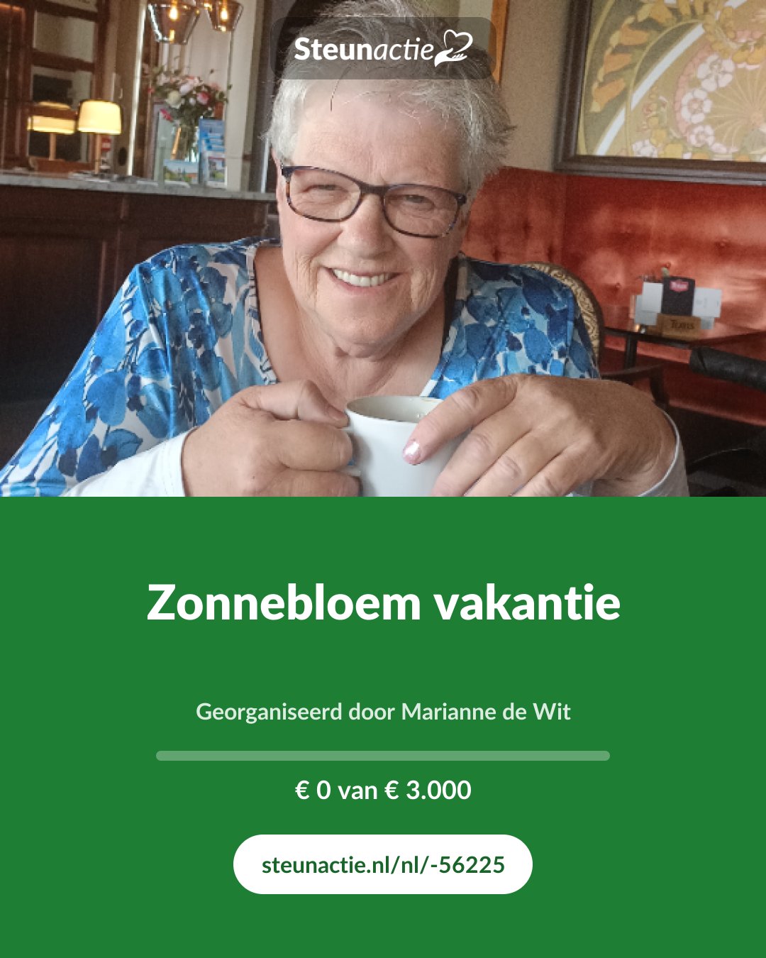 Voorbeeld van de afbeelding