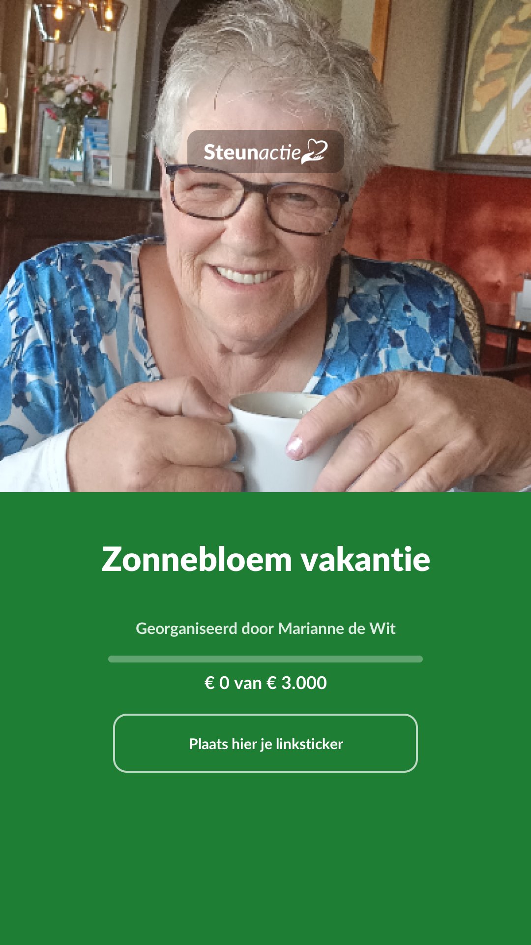 Voorbeeld van de afbeelding