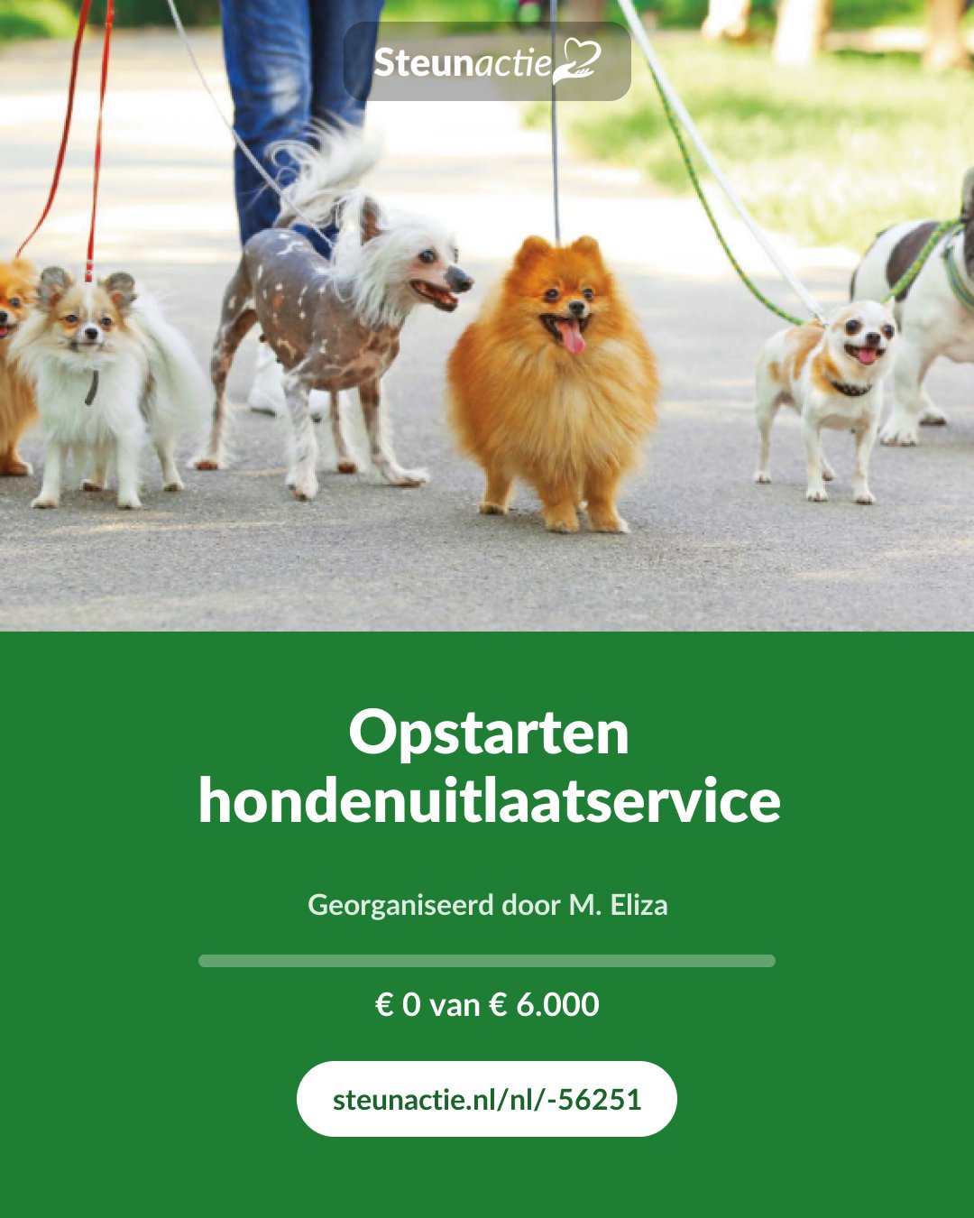 Voorbeeld van de afbeelding