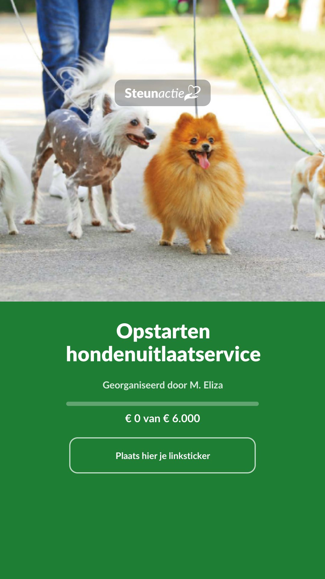 Voorbeeld van de afbeelding