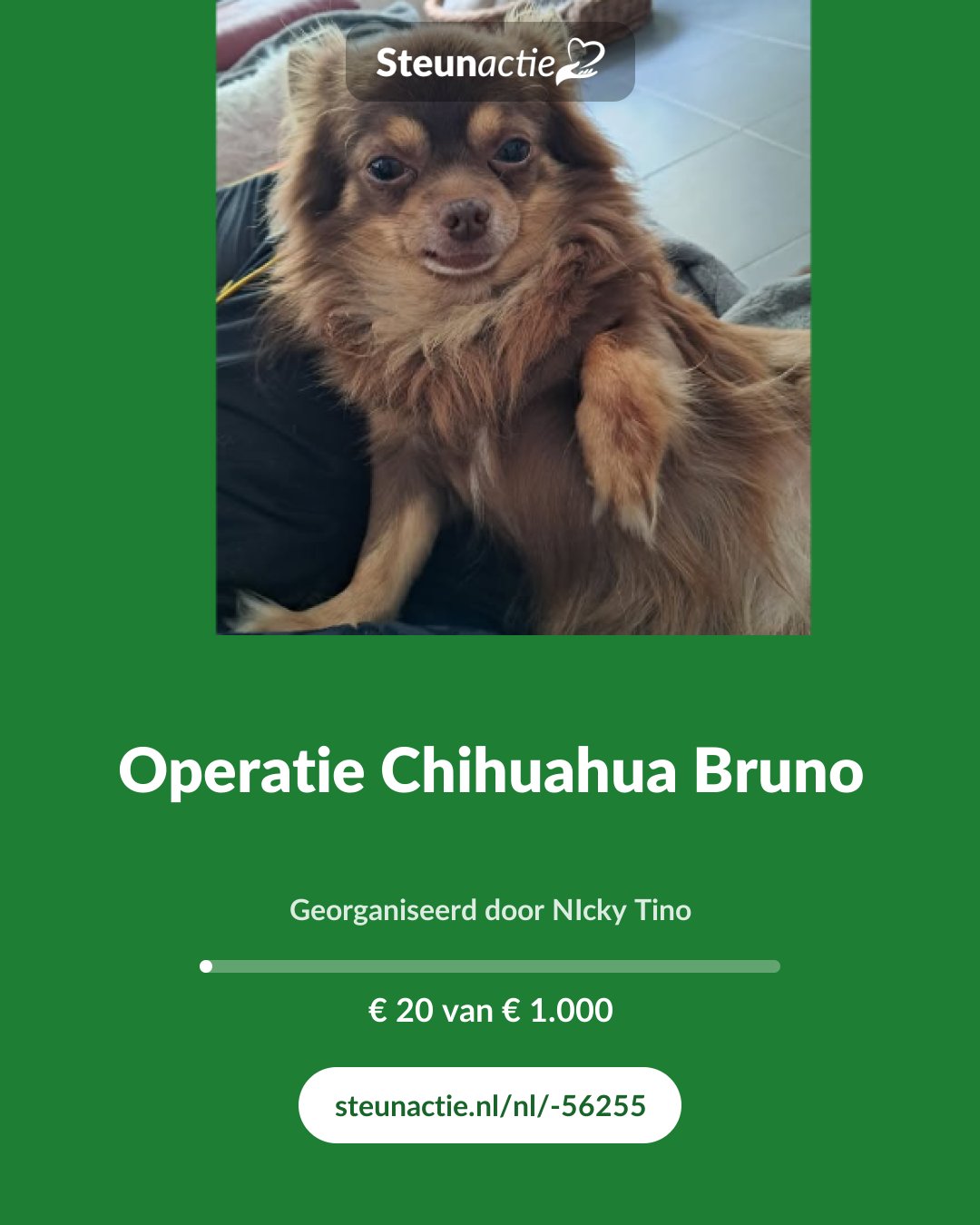 Voorbeeld van de afbeelding
