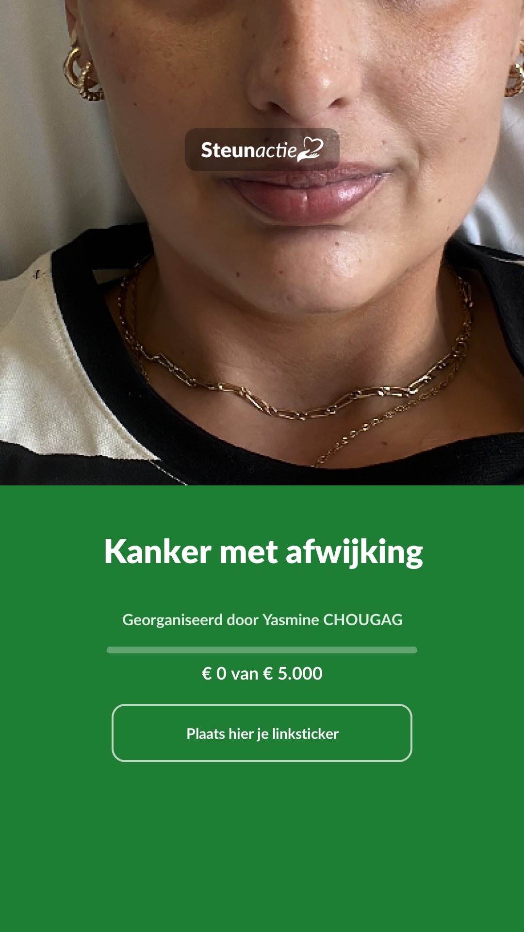 Voorbeeld van de afbeelding