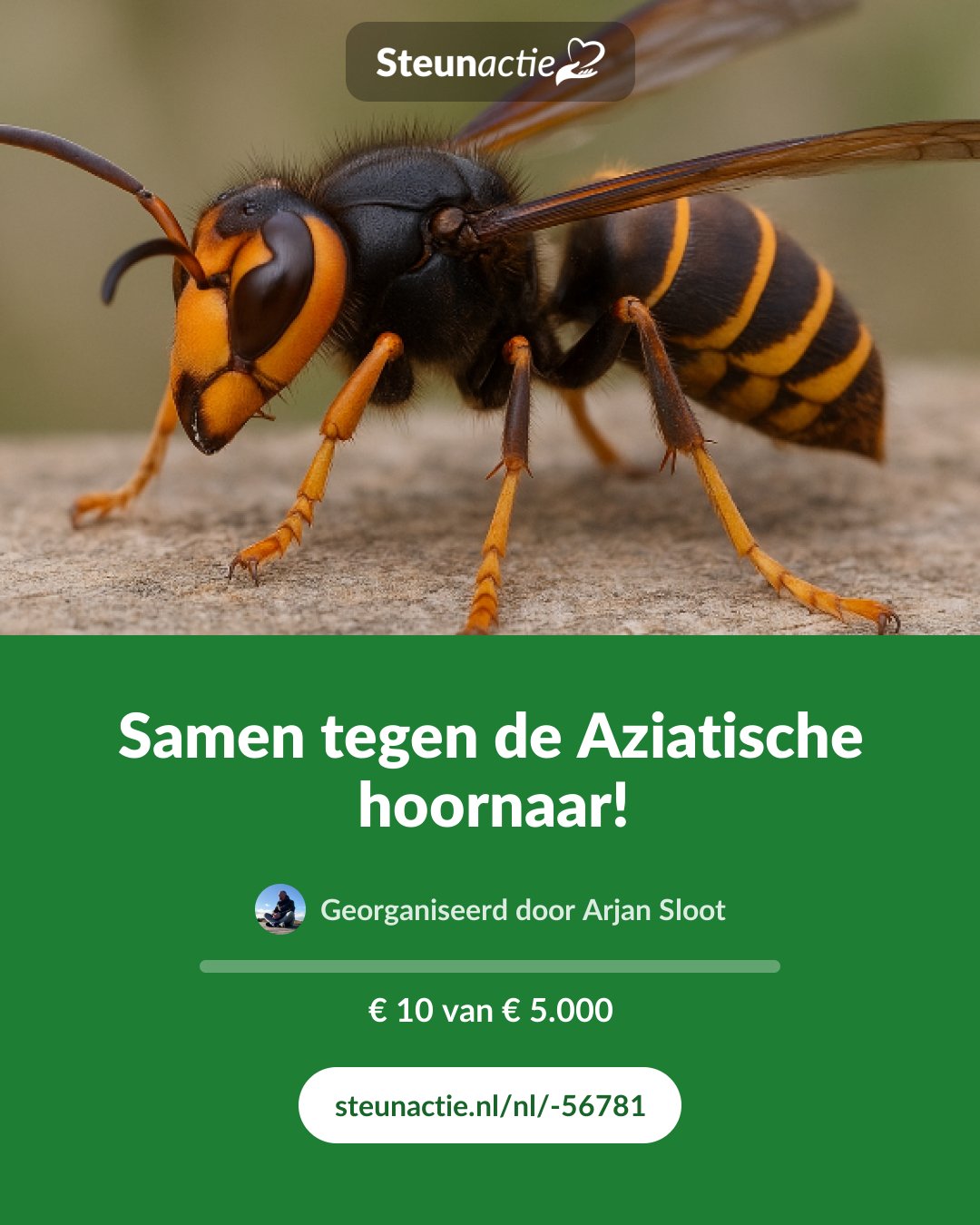Voorbeeld van de afbeelding