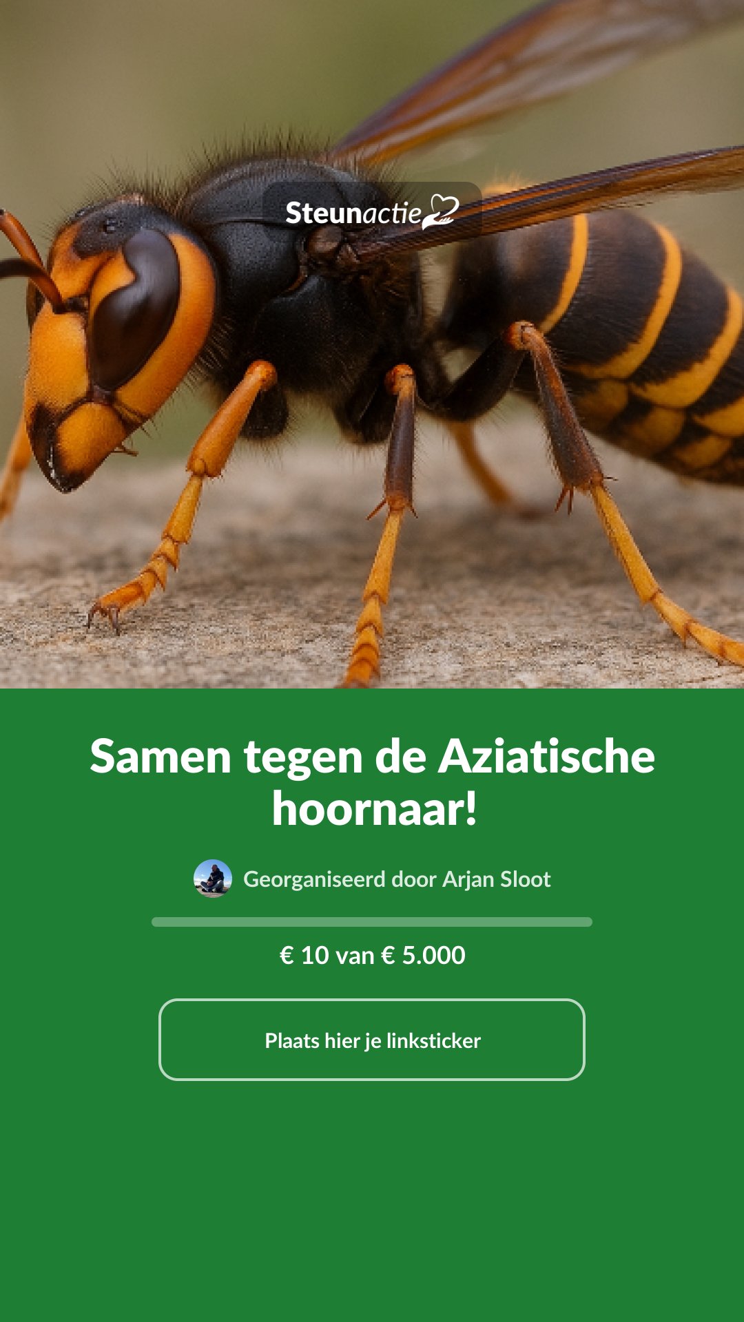 Voorbeeld van de afbeelding