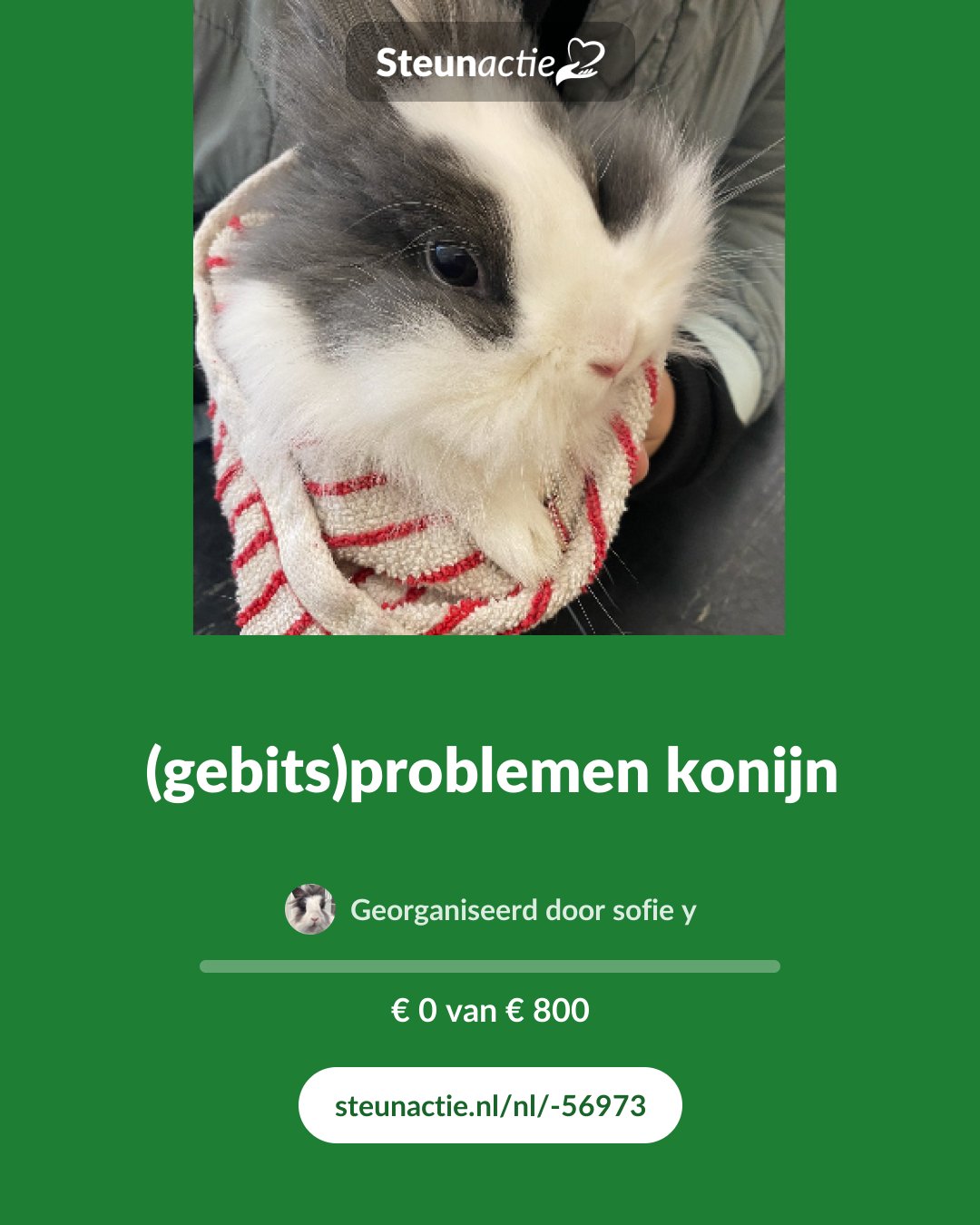 Voorbeeld van de afbeelding