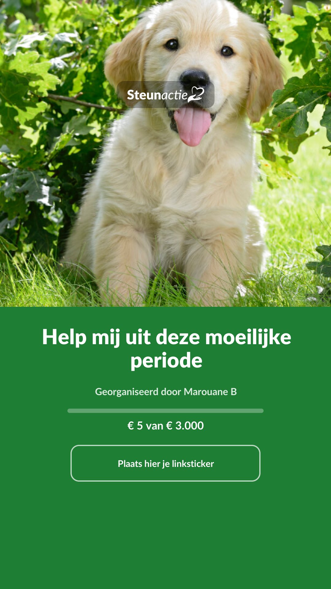 Voorbeeld van de afbeelding