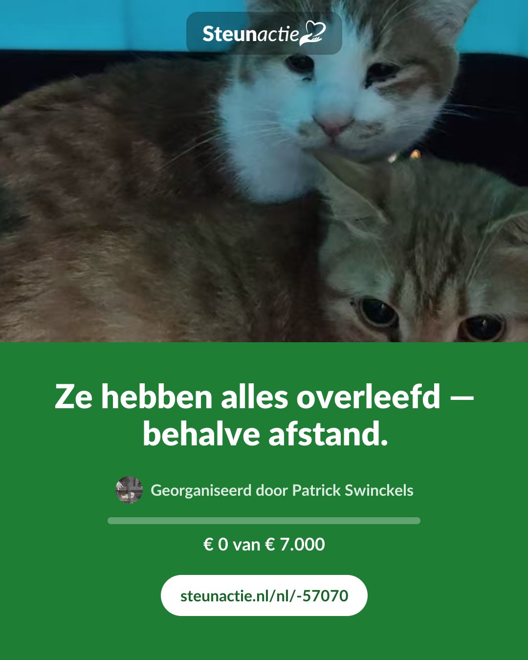 Voorbeeld van de afbeelding