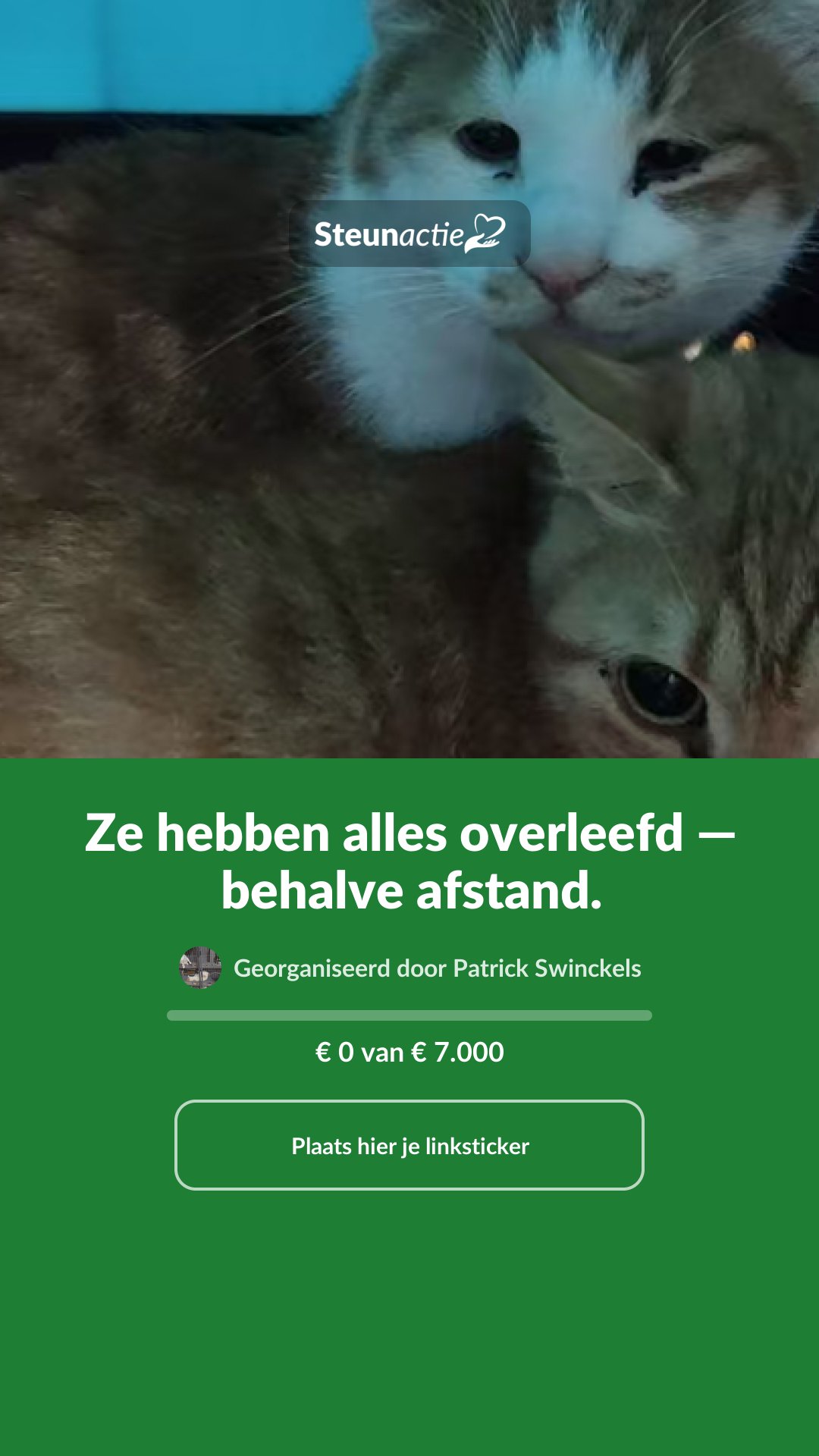 Voorbeeld van de afbeelding