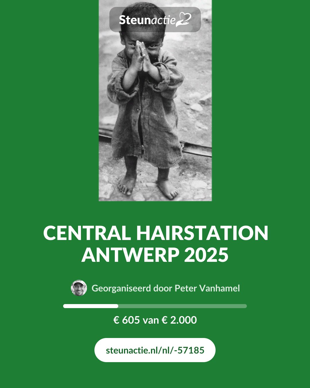 Voorbeeld van de afbeelding