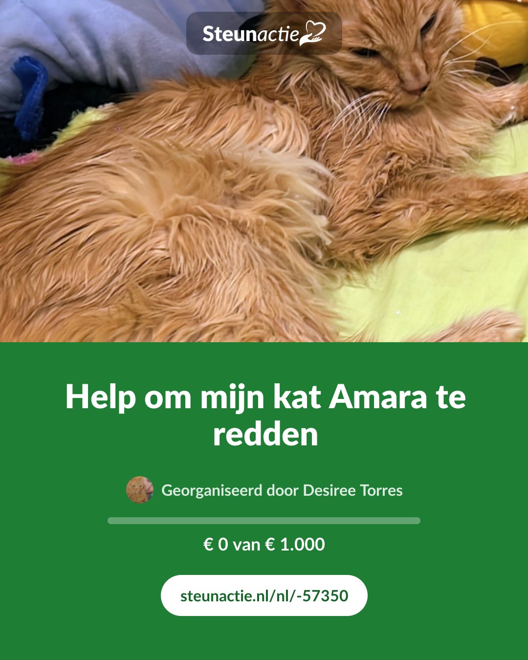 Voorbeeld van de afbeelding