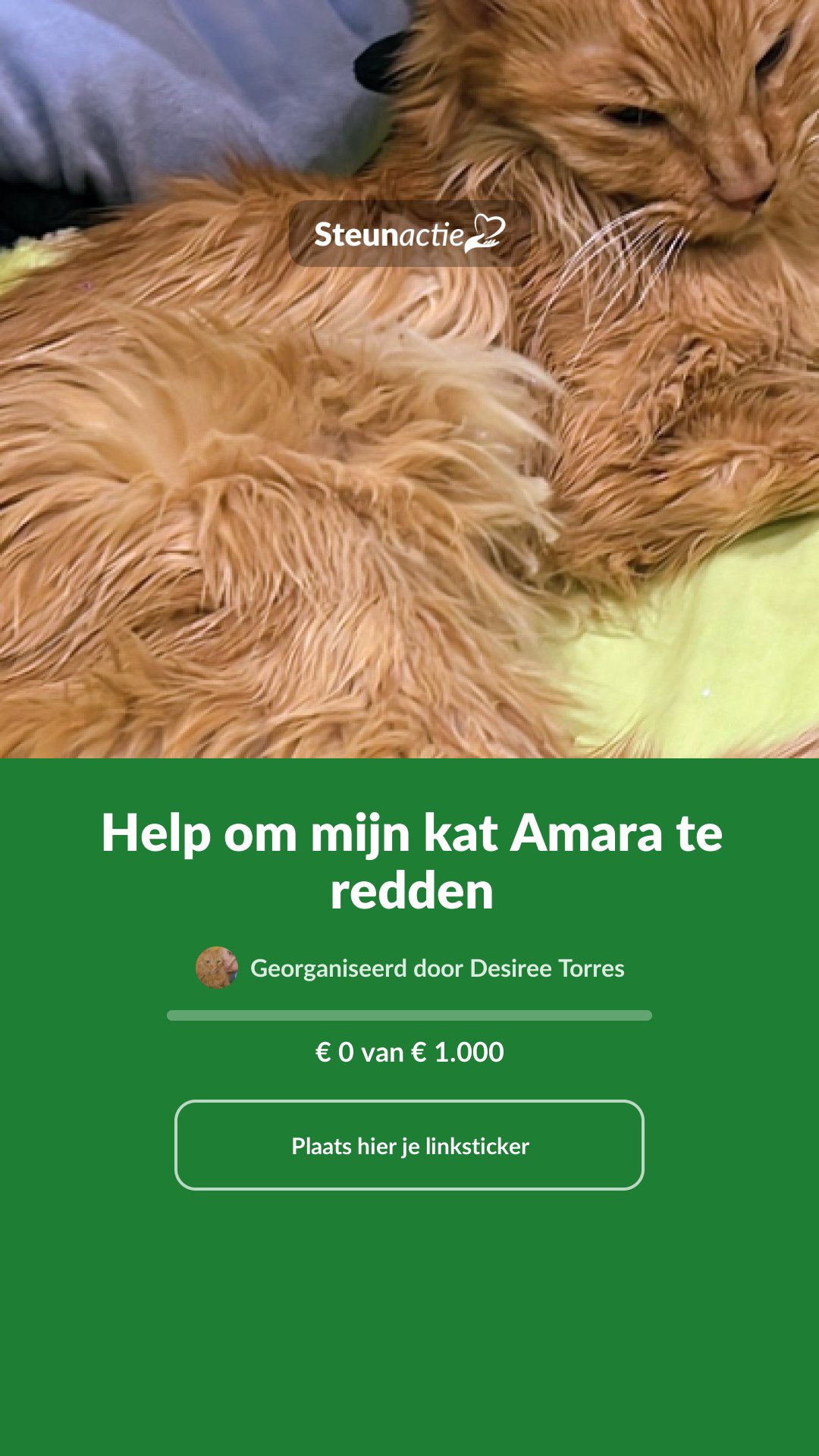 Voorbeeld van de afbeelding