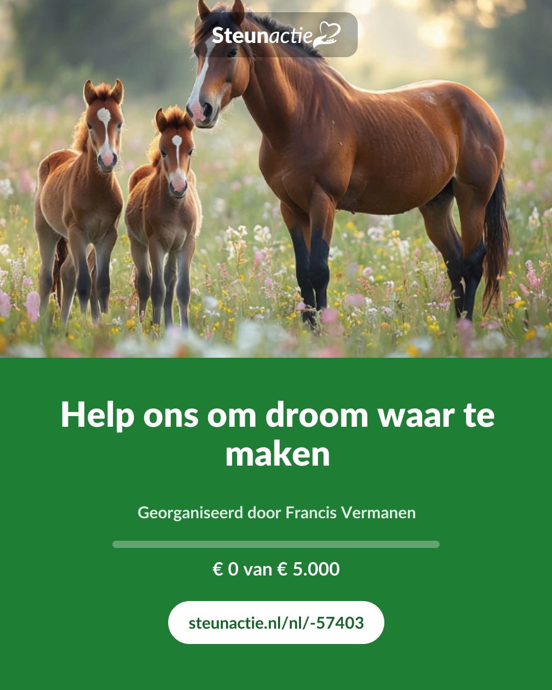 Voorbeeld van de afbeelding