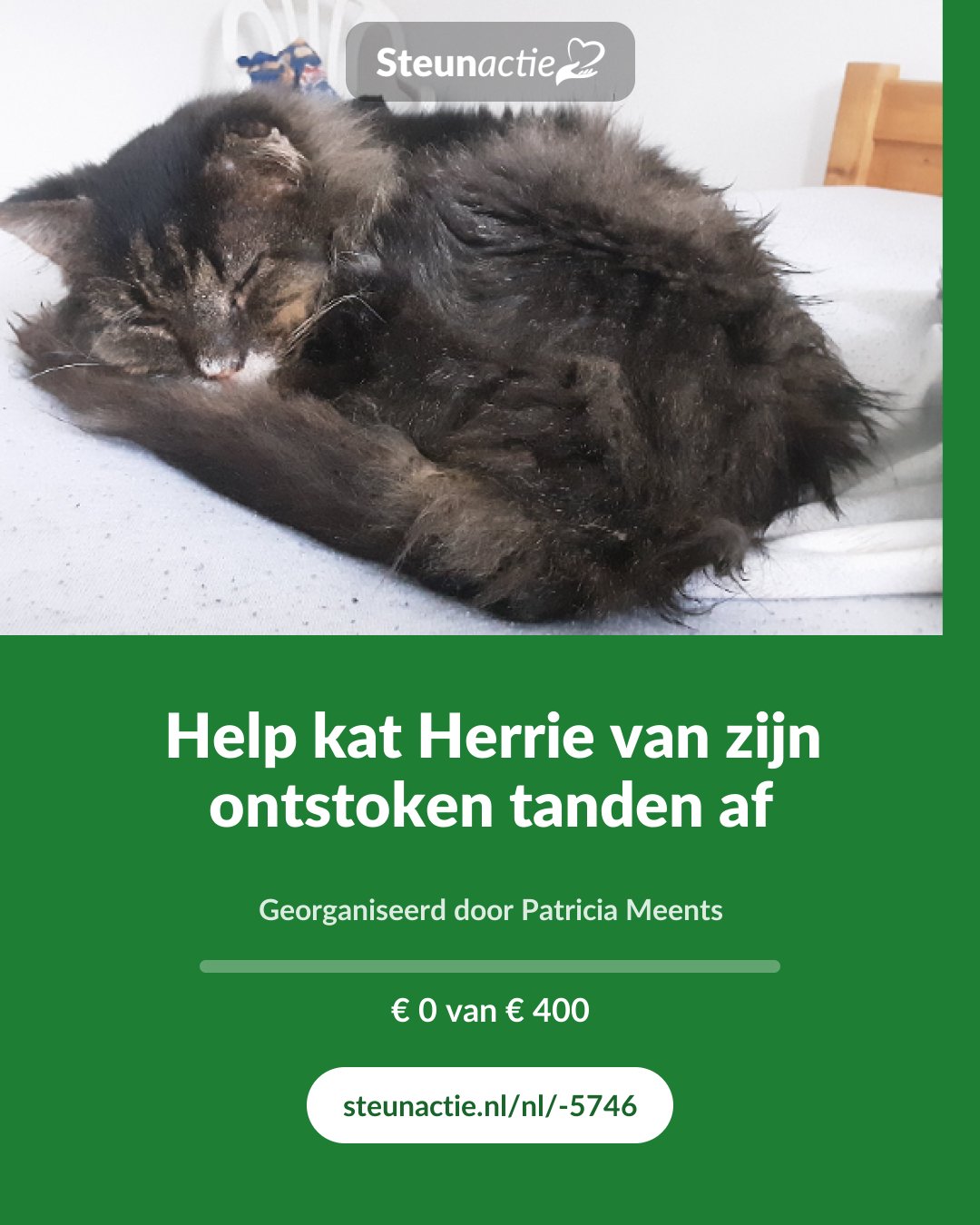 Voorbeeld van de afbeelding