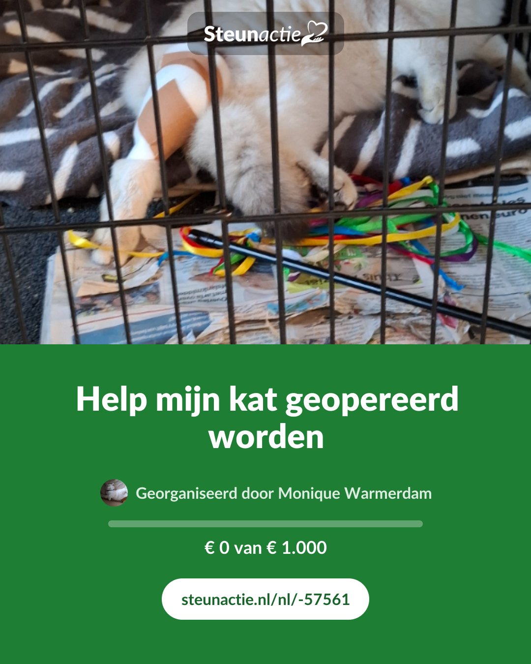 Voorbeeld van de afbeelding
