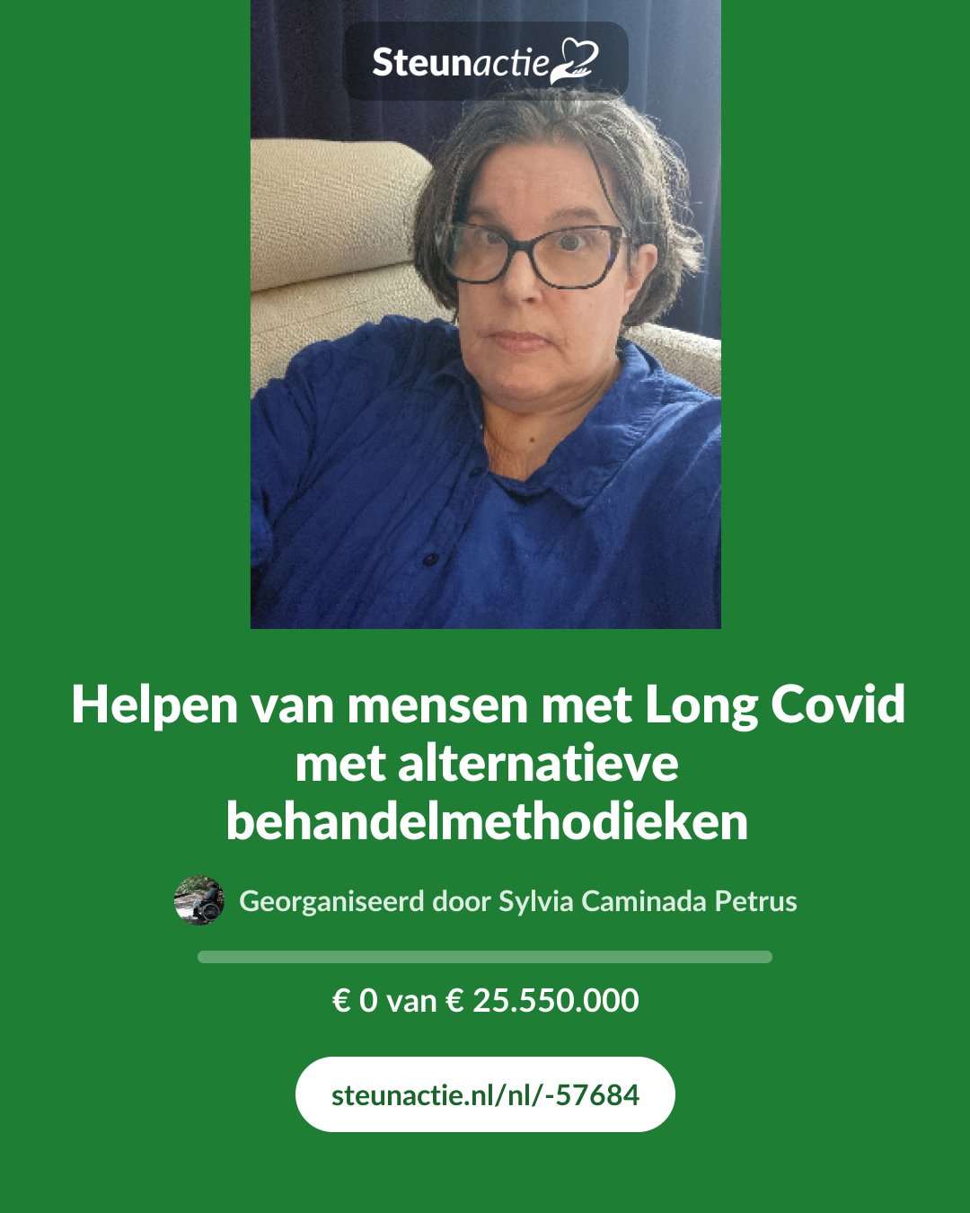 Voorbeeld van de afbeelding