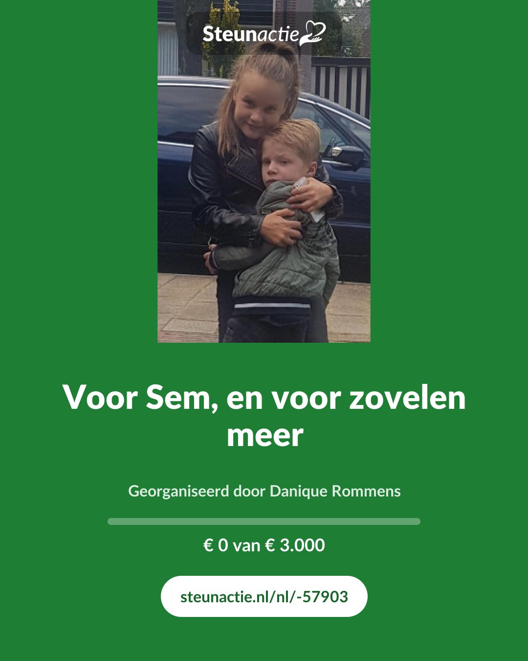 Voorbeeld van de afbeelding