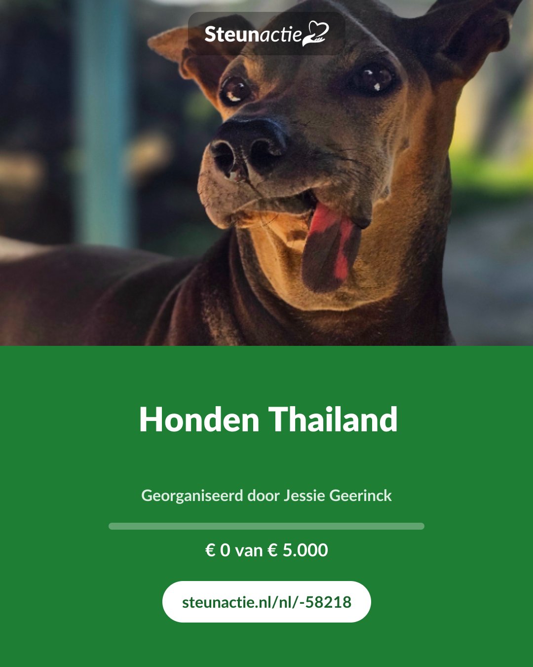 Voorbeeld van de afbeelding