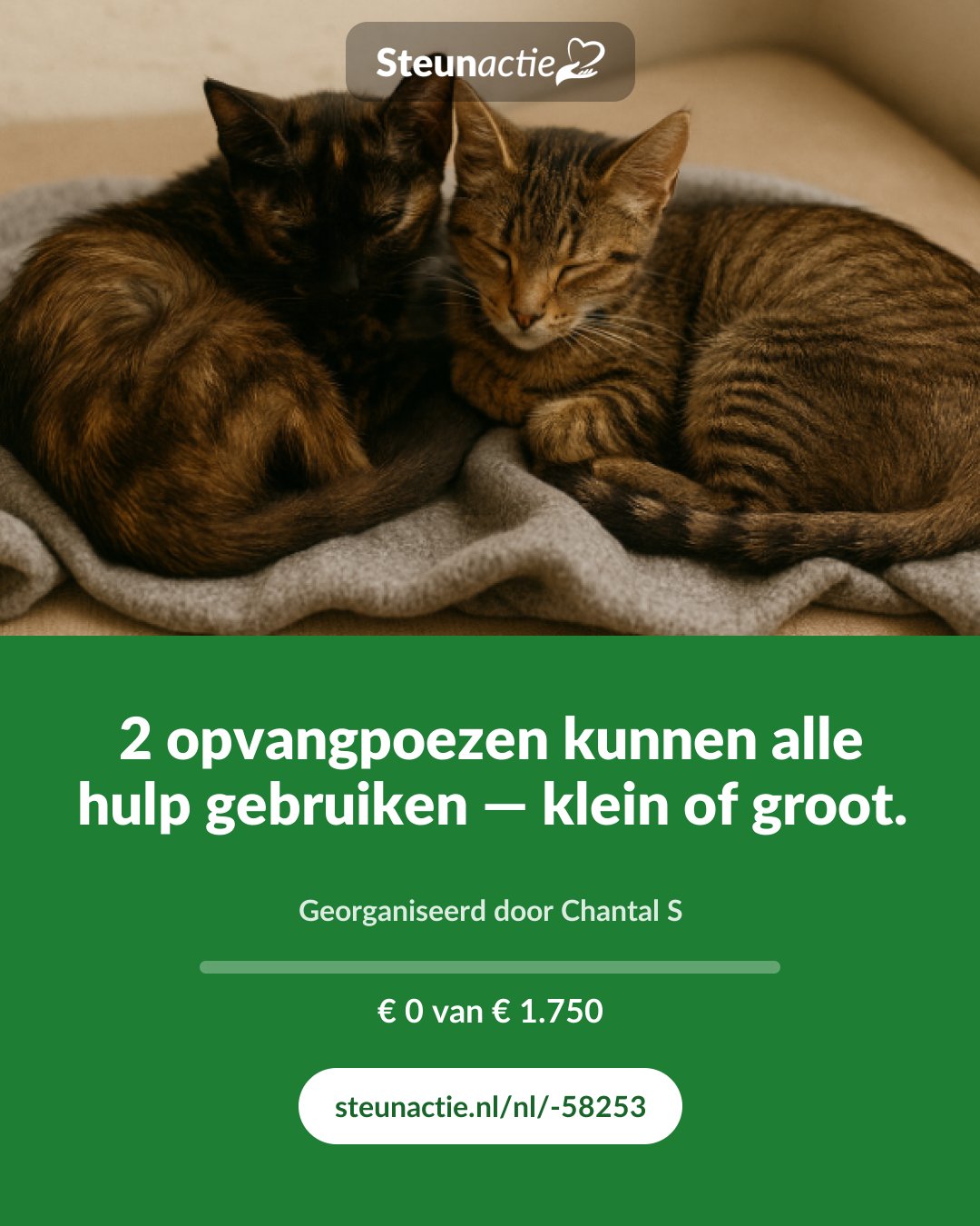 Voorbeeld van de afbeelding