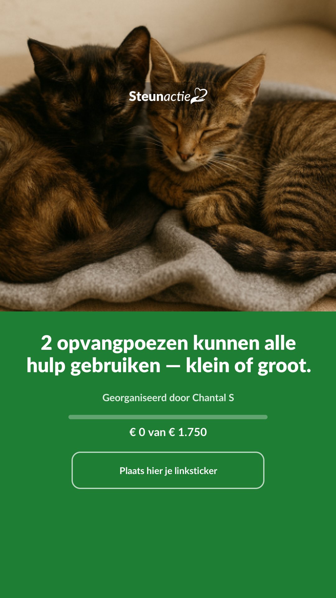 Voorbeeld van de afbeelding
