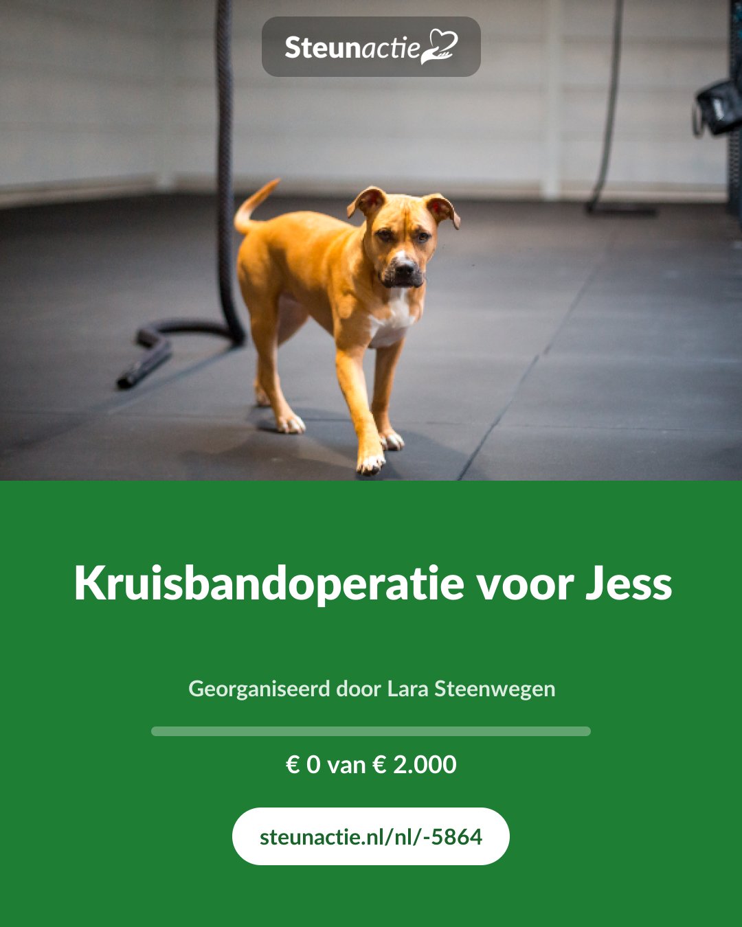 Voorbeeld van de afbeelding