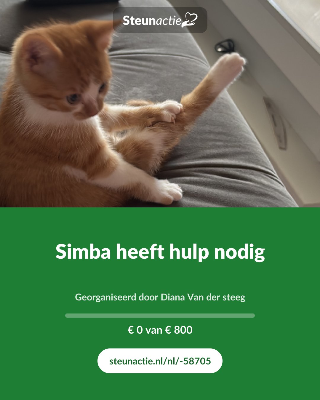 Voorbeeld van de afbeelding