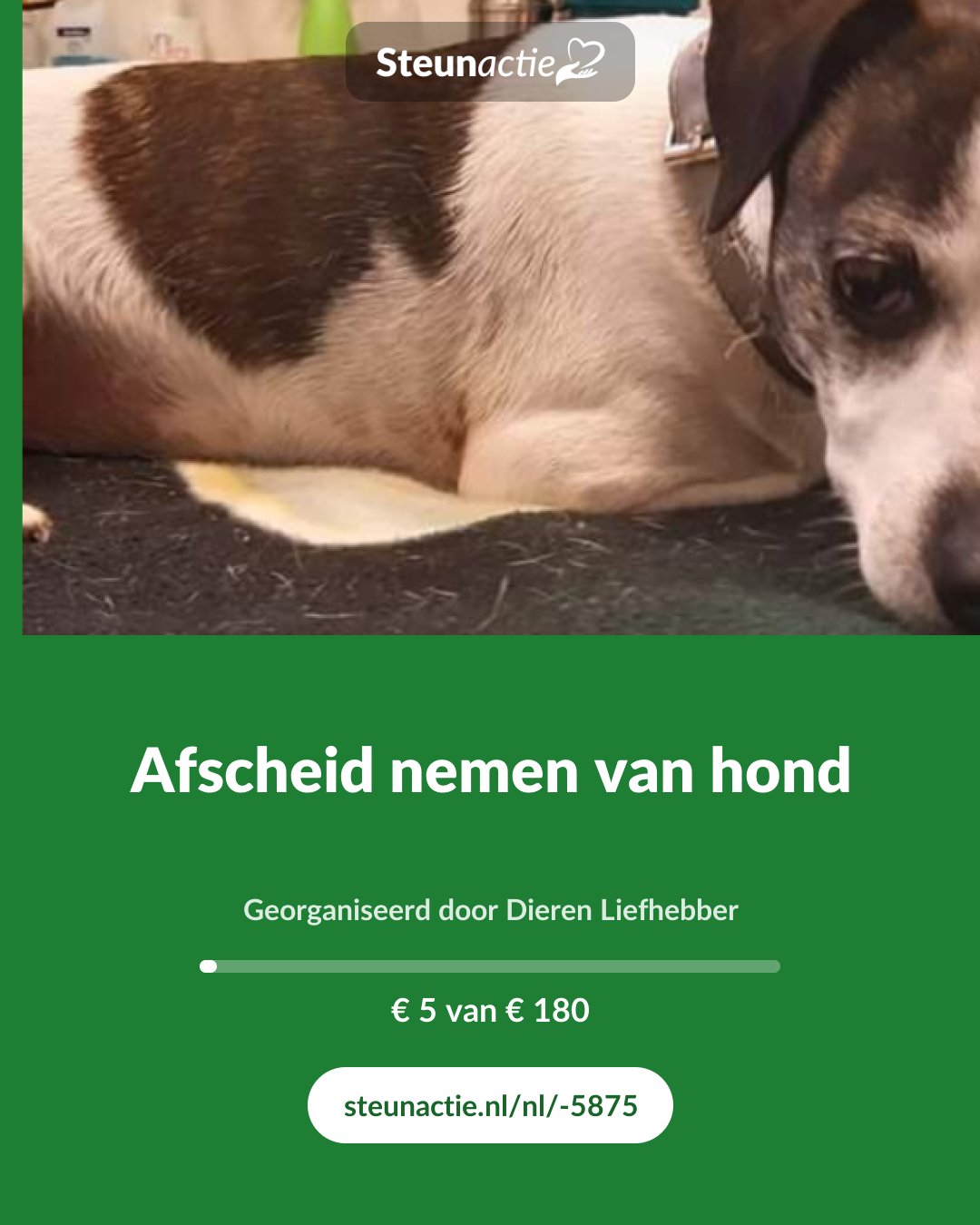 Voorbeeld van de afbeelding