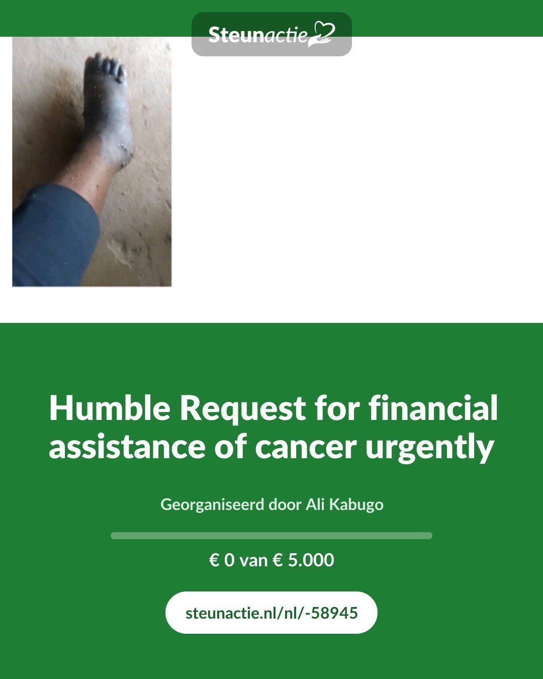 Voorbeeld van de afbeelding