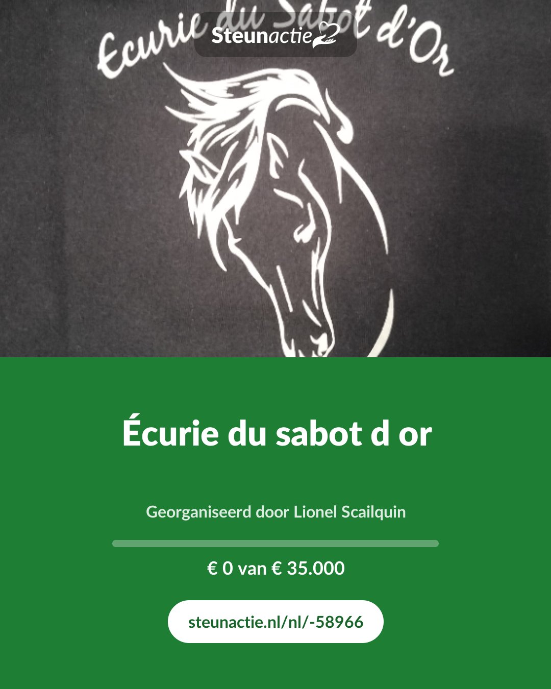 Voorbeeld van de afbeelding