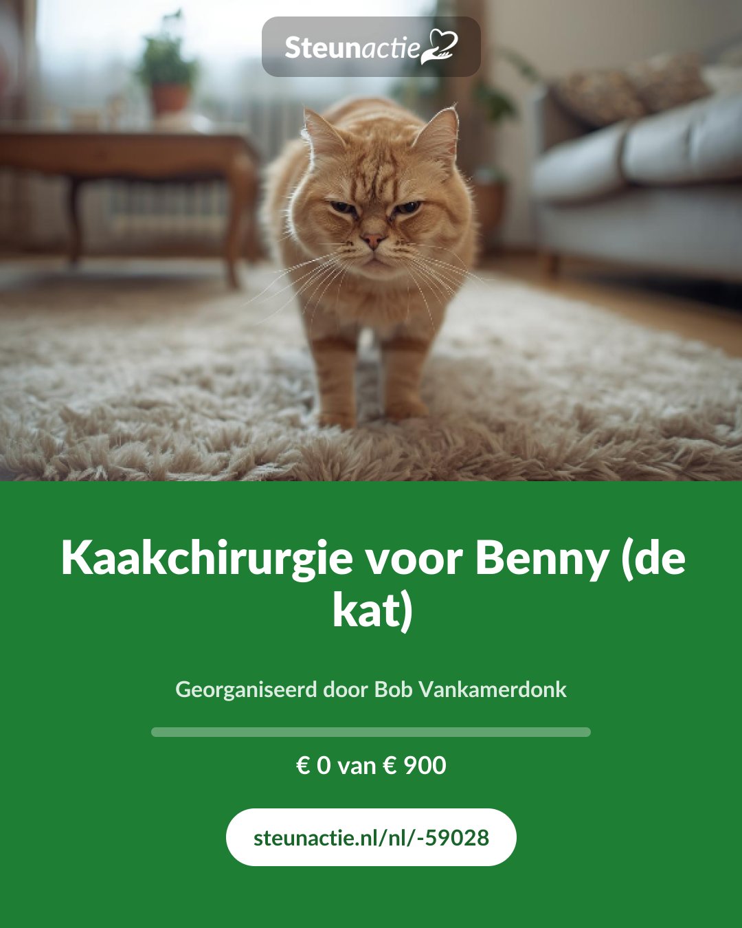 Voorbeeld van de afbeelding