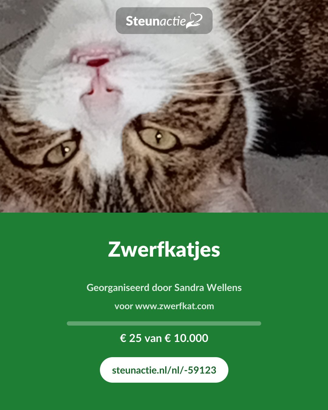 Voorbeeld van de afbeelding