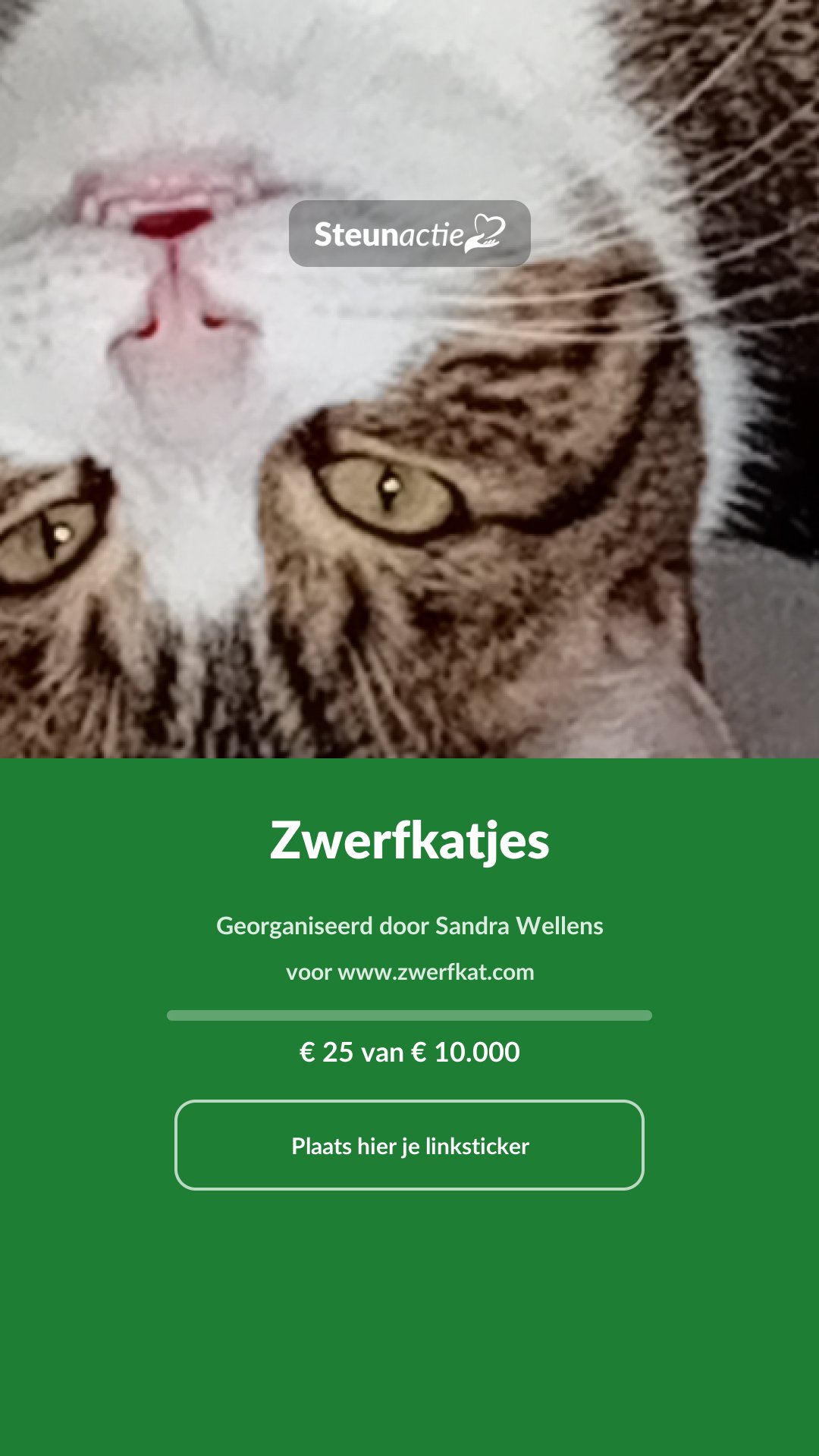 Voorbeeld van de afbeelding