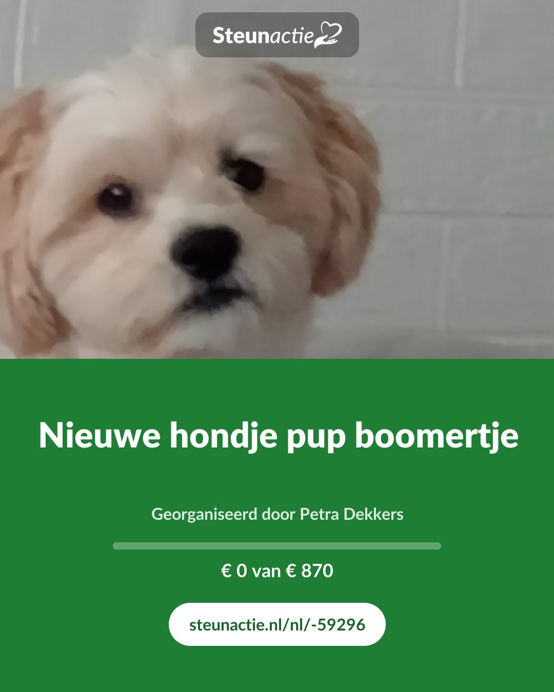 Voorbeeld van de afbeelding