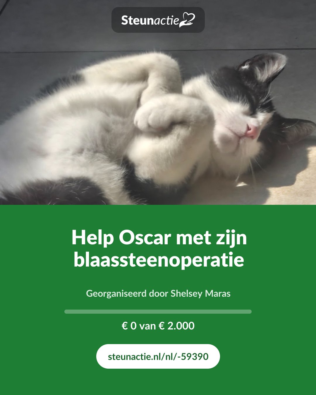 Voorbeeld van de afbeelding